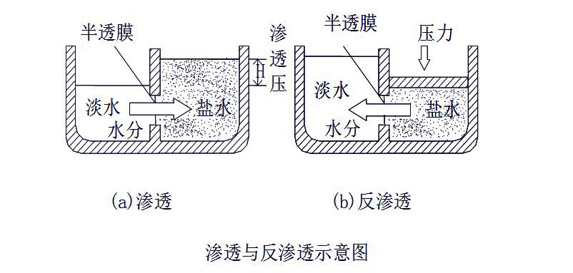 反渗透原理图